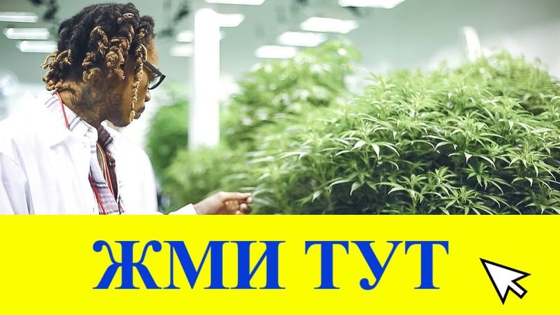 Купить наркотики в Стародубе